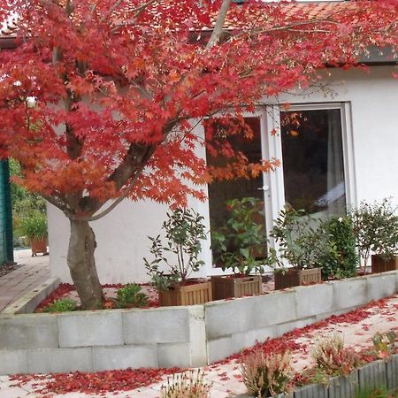 Ferienwohnung Haus Magnolia 2 Kandern Exterior foto