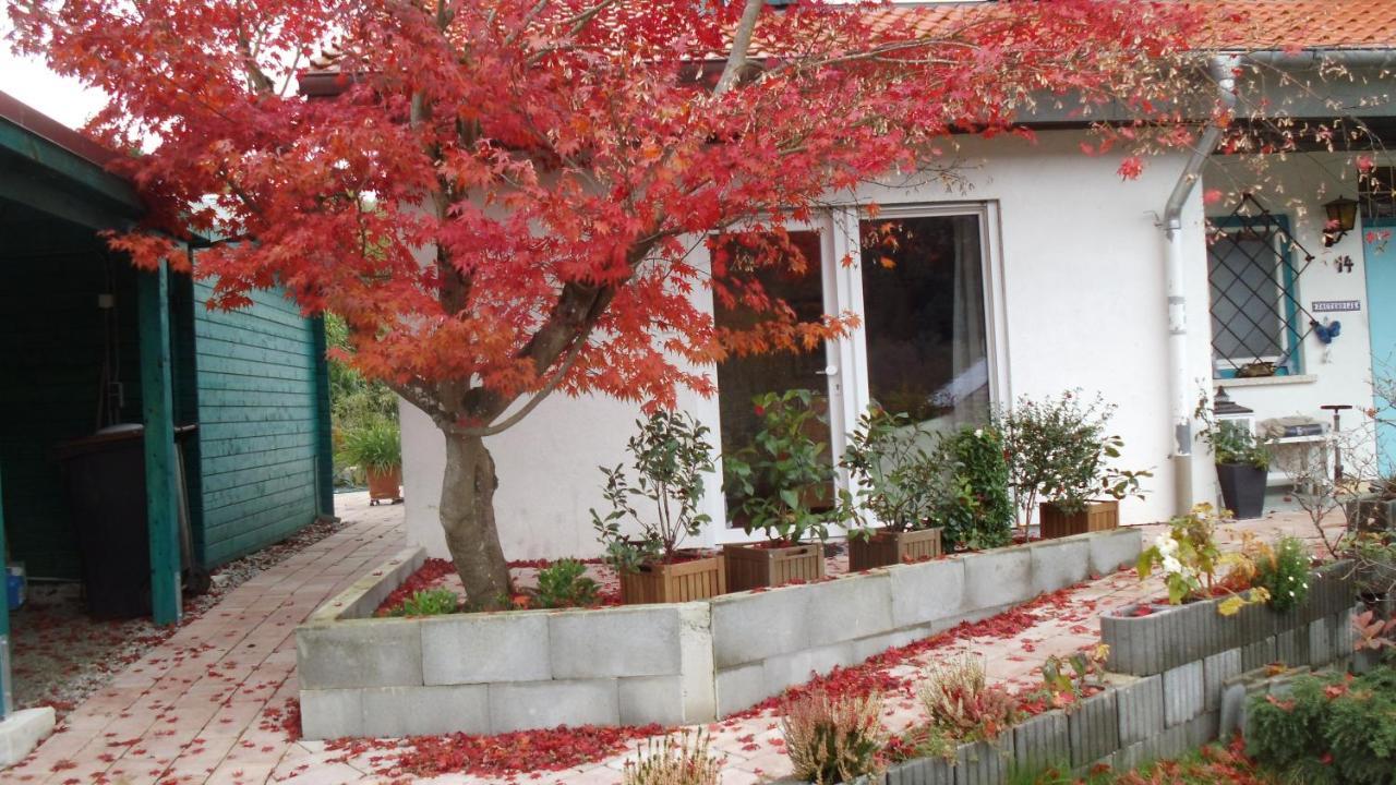 Ferienwohnung Haus Magnolia 2 Kandern Exterior foto